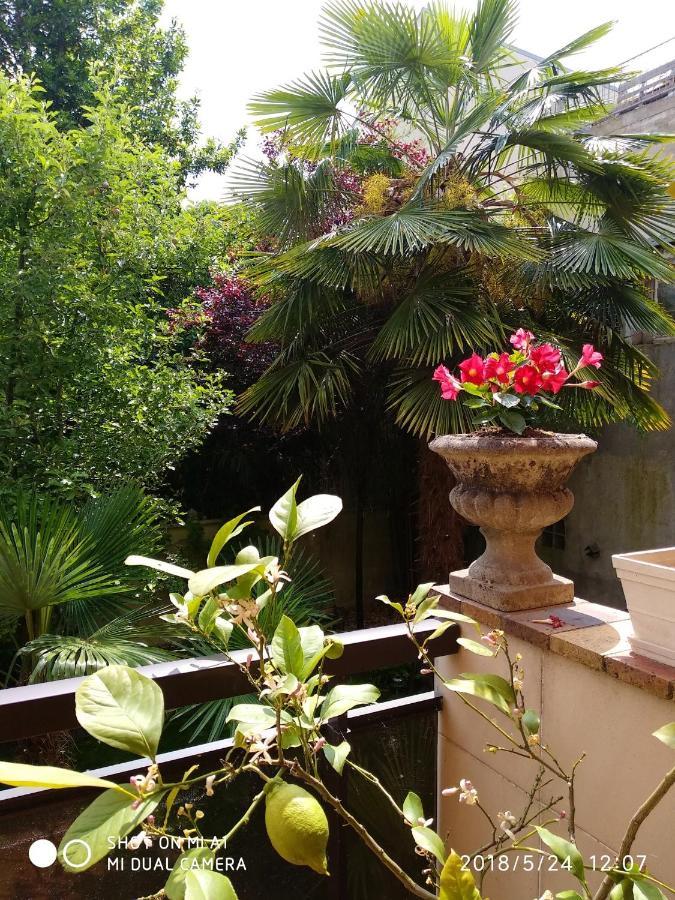 Appartement d'une chambre avec jardin amenage et wifi a Alfortville Extérieur photo